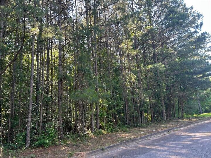 Property Photo:  136 Harrison Place  GA 30228 