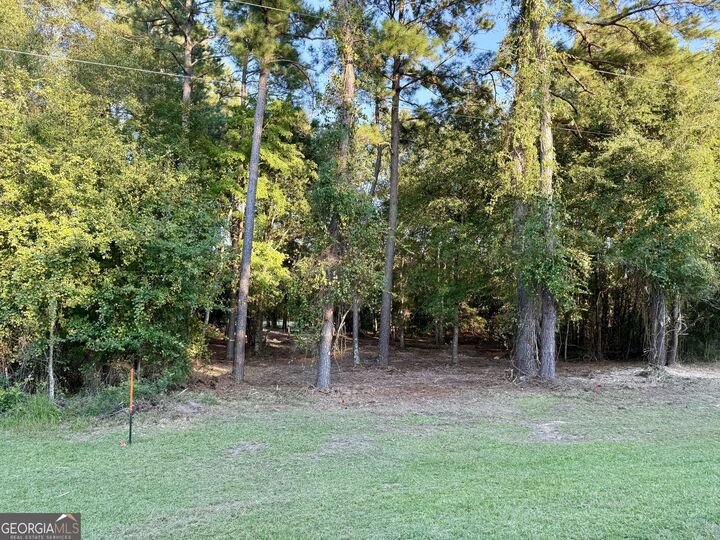 Property Photo:  0 Friendship Road  GA 30467 