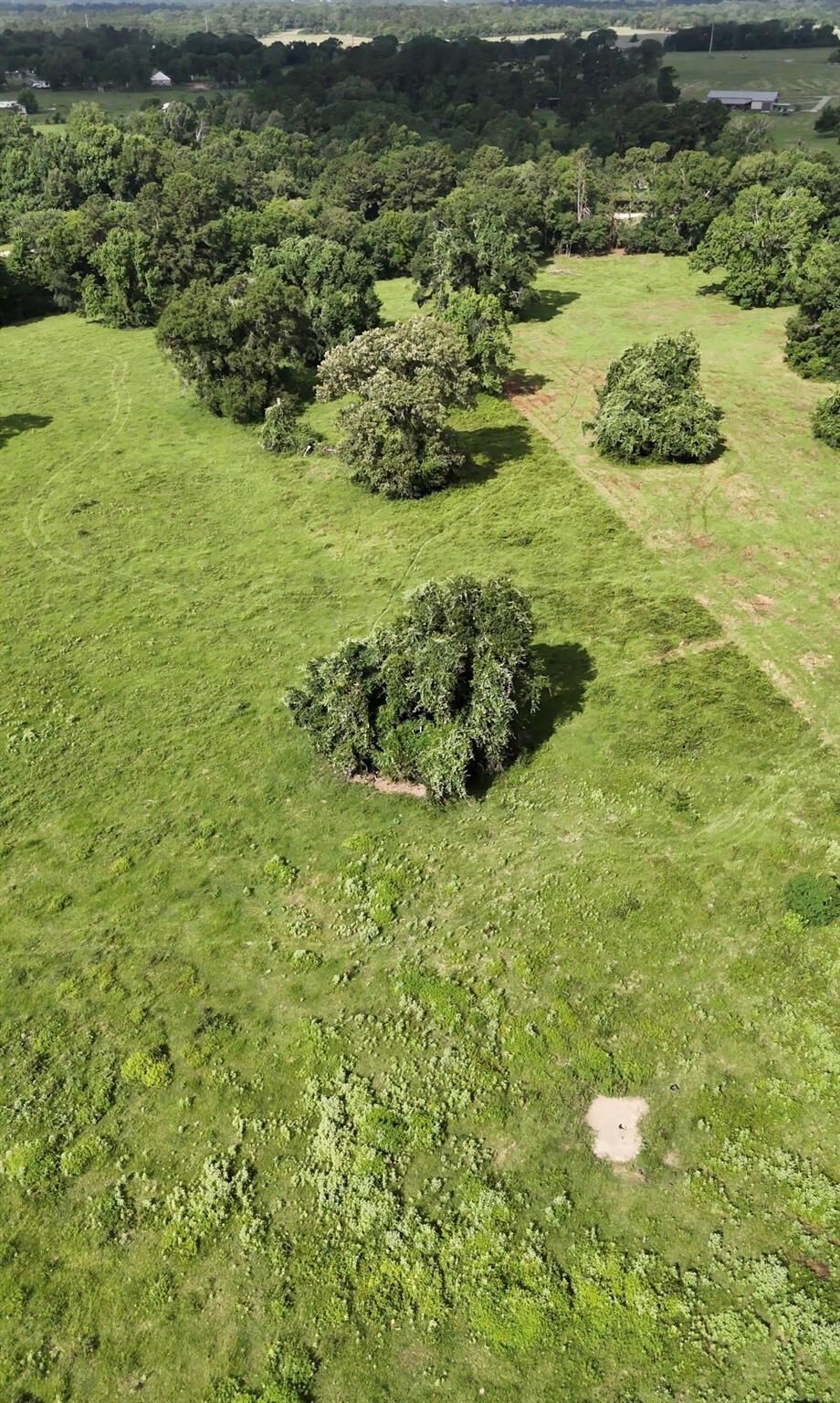 Property Photo:  873 Jones Road  TX 77358 