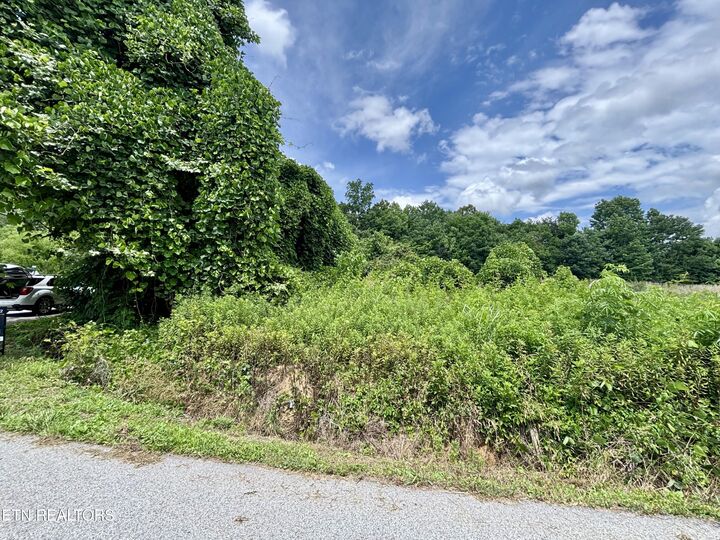 Property Photo: 0 Davis Hollow Rd TN 37748