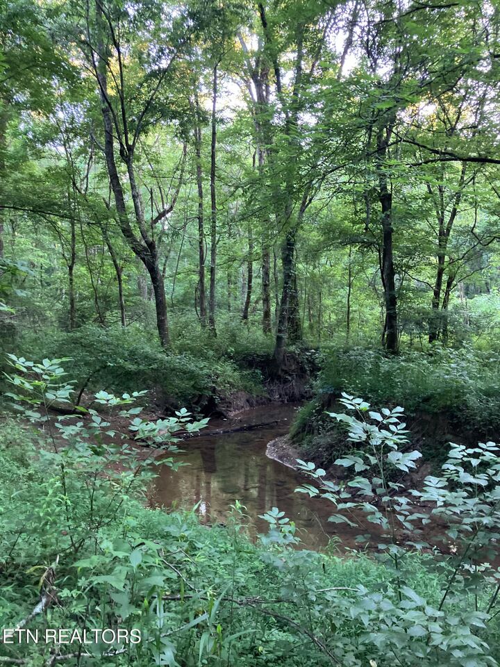 Property Photo:  Lot 10 Holly Drive  TN 37367 