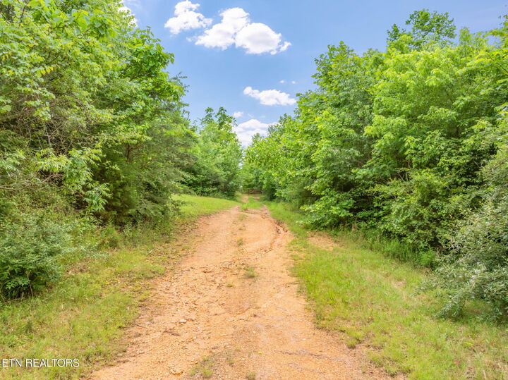 Property Photo:  0 Grigsby Hollow Rd  TN 37763 