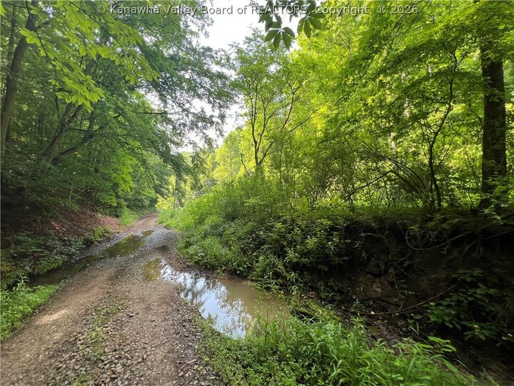 Property Photo:  0 Starchers Fork Road  WV 25276 