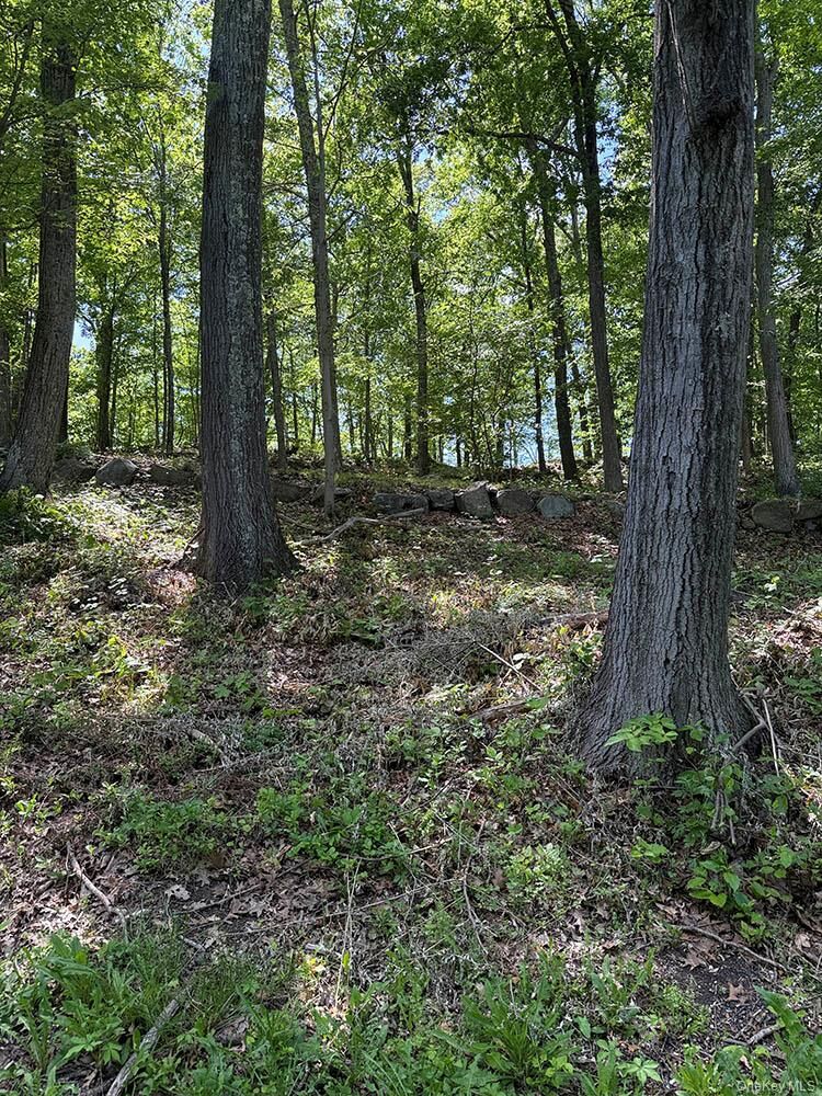 Property Photo:  98 Ice Pond Road  NY 10509 
