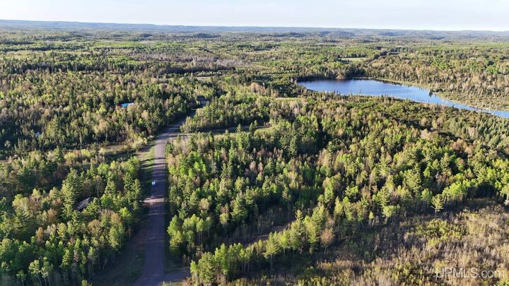 Property Photo: Lot 12 Carp Creek Drive MI 49849