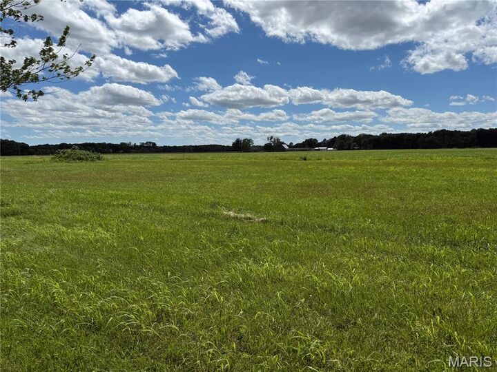 Property Photo: Tbd West Fellin Drive IL 62069