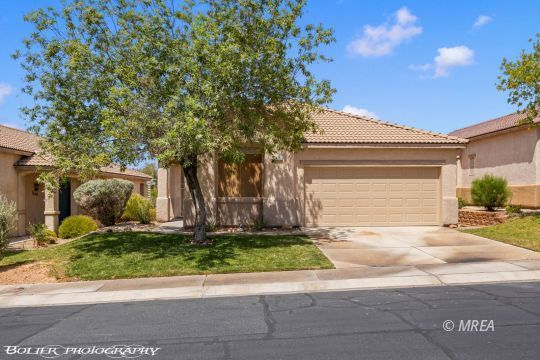 Property Photo:  471 Canyon Way  NV 89027 