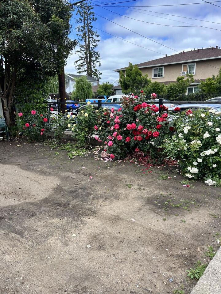 Property Photo: 322 1st Avenue CA 94063