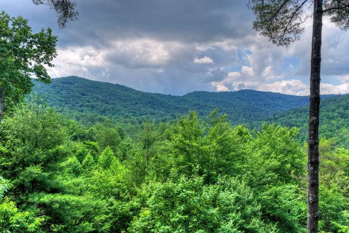 Property Photo: 255 Indian Ridge Road GA 30541