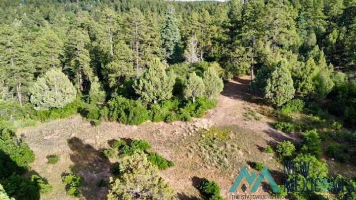 Property Photo:  Tbd Log Ridge Trail Trail  NM 87520 