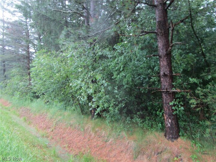 Property Photo:  Vl Callender Road  OH 44085 