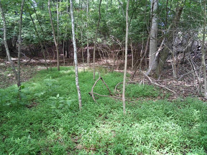 Property Photo: Tbd Frazier Rd Road VA 24141