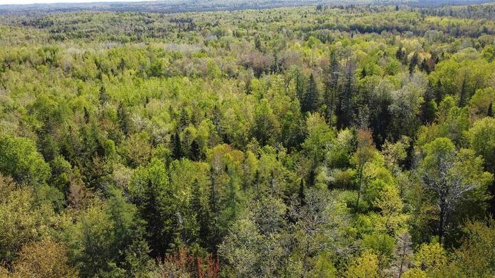 Property Photo:  Lot Highway 12 Highway  NS B4N 3V8 