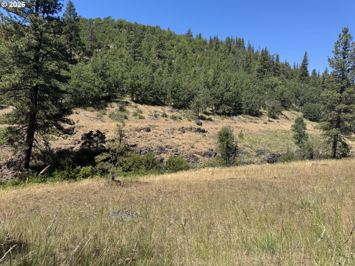 Property Photo:  Toad Rd  WA 98620 