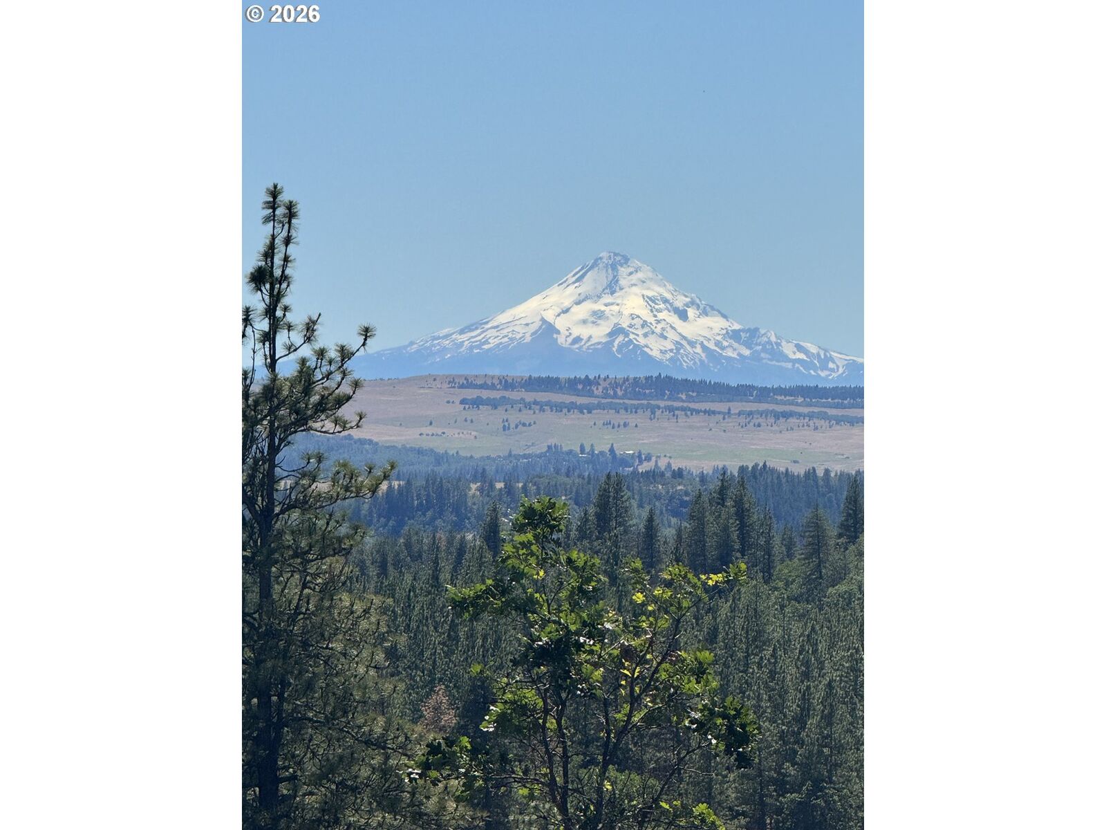Property Photo:  Zelinski Rd  WA 98620 