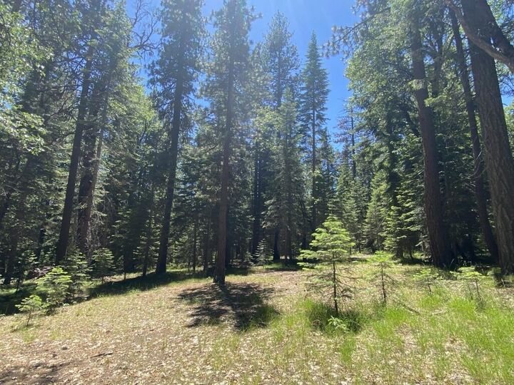 Property Photo: 3-E-29 Red Fir Rd CA 96057