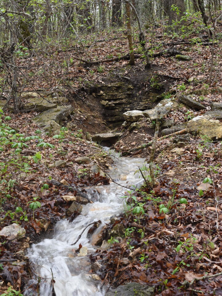 Property Photo: 000 Highway Y MO 65464