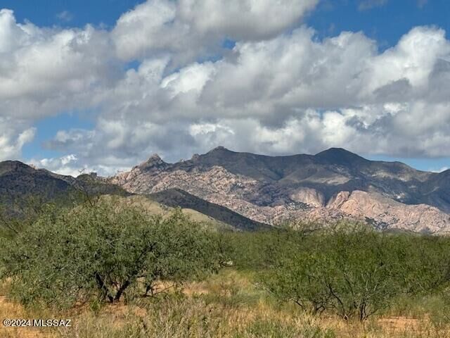 Property Photo:  Tbd E Hagan Street 12  AZ 85625 