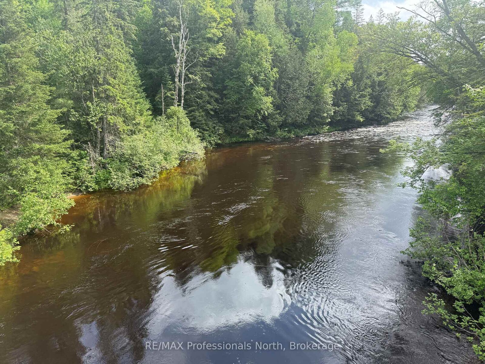 Property Photo:  1333 Williamsport Road N  ON P1H 2J4 