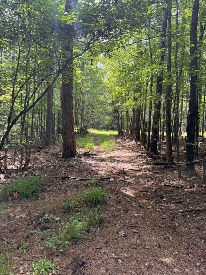 Property Photo:  555 Mountain Brook Road  GA 31808 