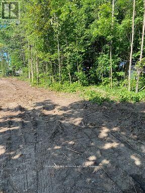 Property Photo:  3365 Armand Avenue  ON L0K 2B0 