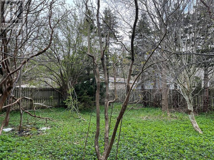 Property Photo:  72 Fox Avenue  NL A1B 2J2 