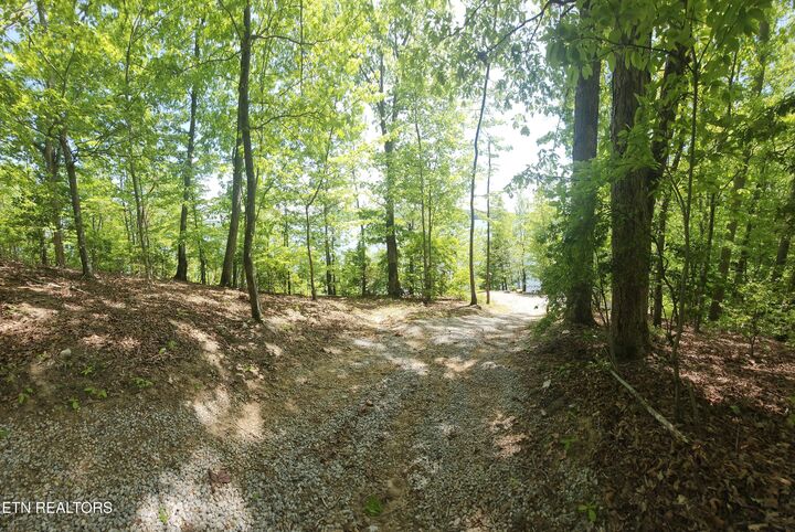 Property Photo: 122 Thief Neck Drive TN 37854