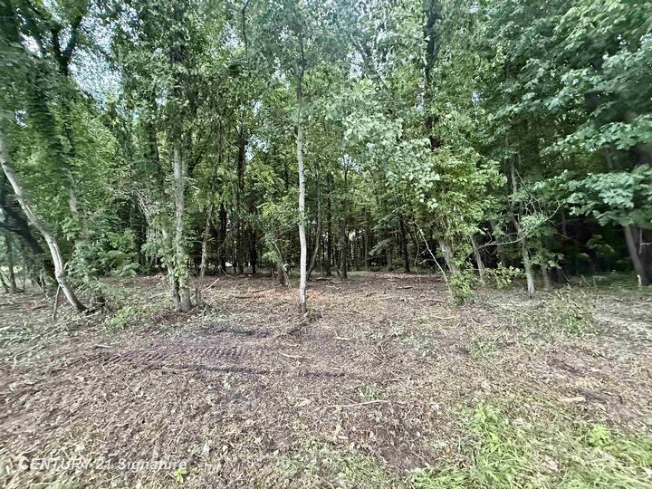Property Photo:  0 Seymour Road  MI 48417 