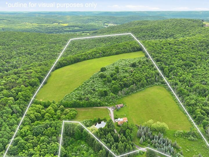 Property Photo: 80 Paul Rd NY 14892