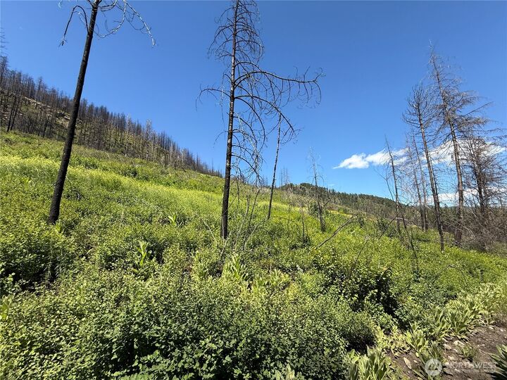 Property Photo:  0 Lot 32  4th Of July Creek Road  WA 99121 