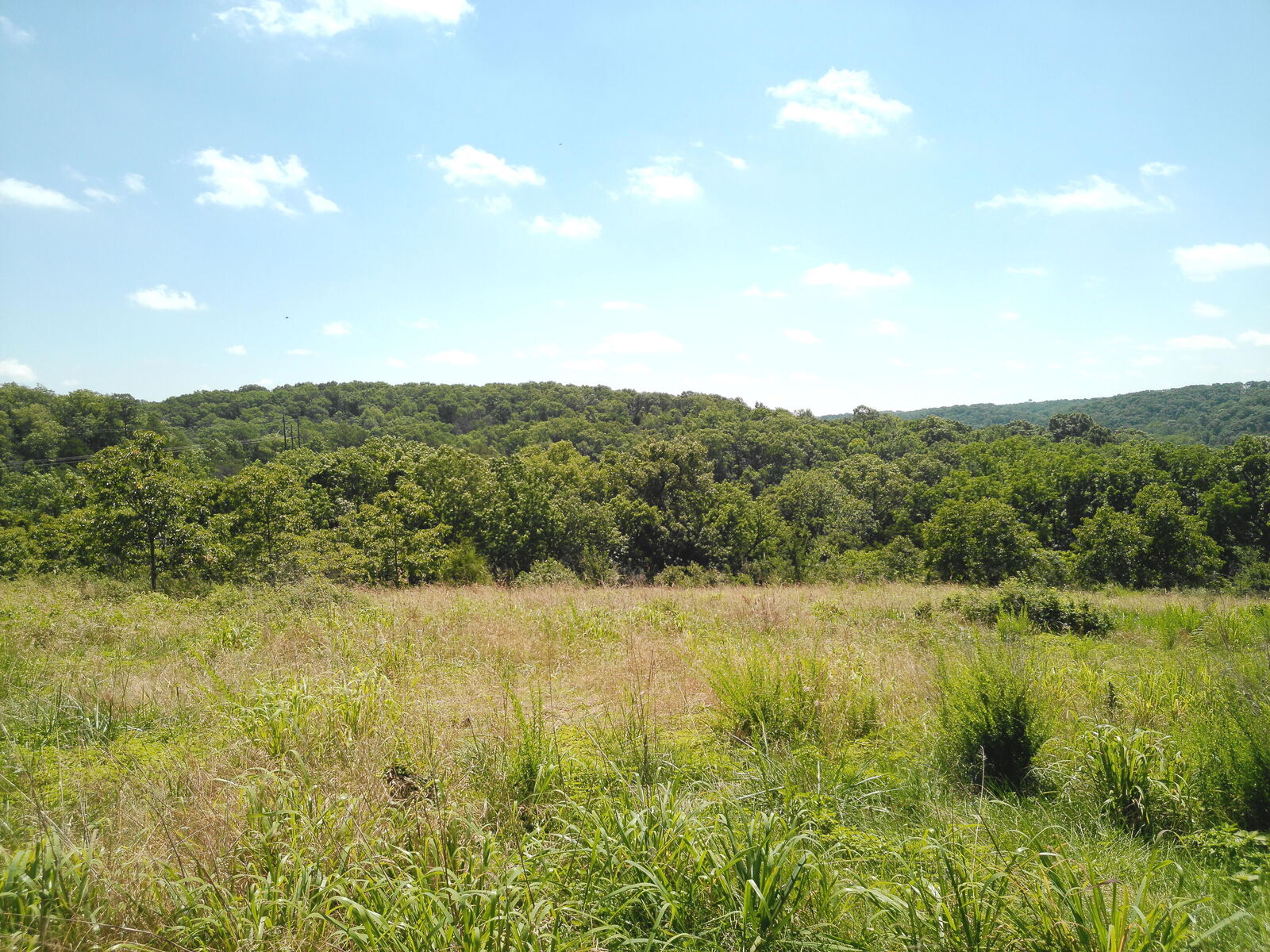 Property Photo:  1029 Bear Hollow Road  MO 64856 
