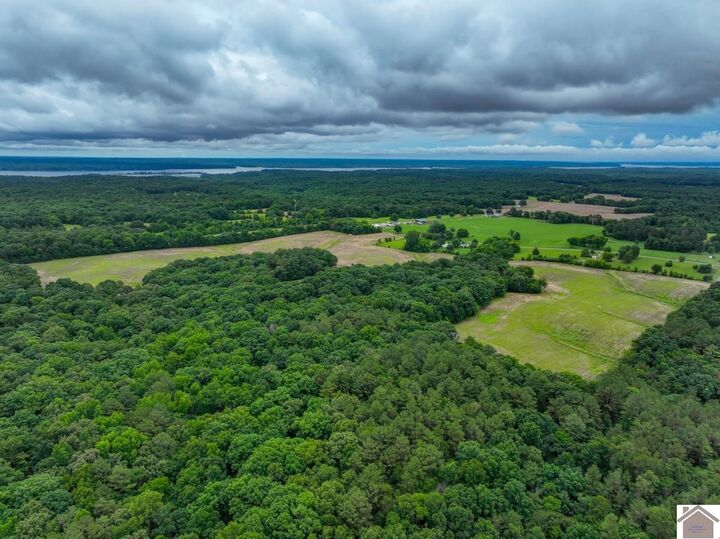 Property Photo: 000 Buffalo Road (Calloway Co. Ky 83.9518) KY 42076