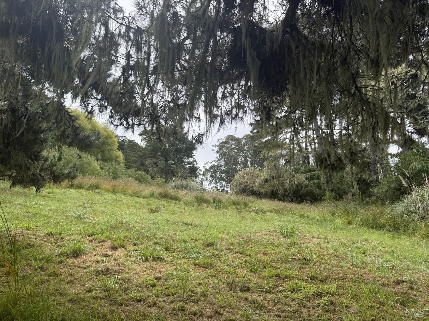 Property Photo:  241 A Alder Road  CA 94924 