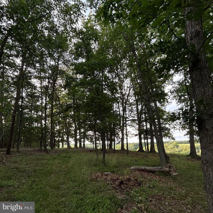 Property Photo:  00 Headsville Rd  WV 26726 