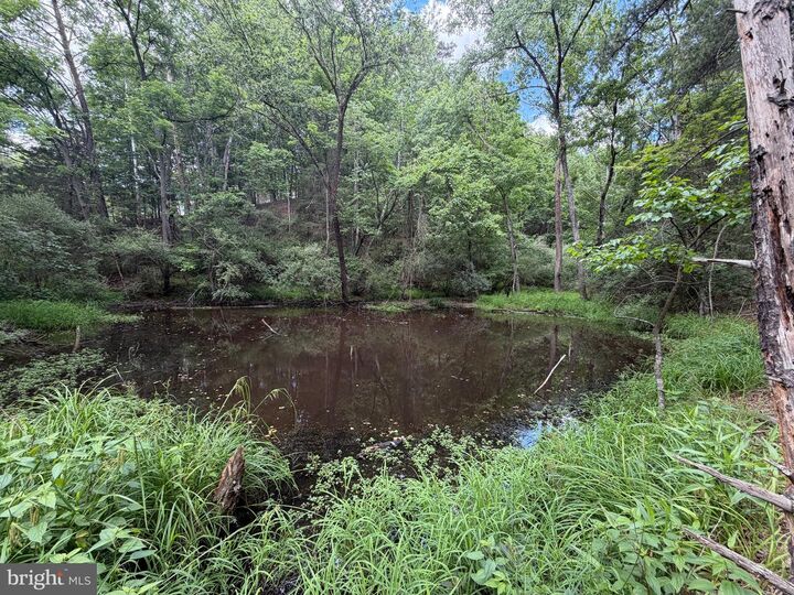 Property Photo: 00 Headsville Rd WV 26726