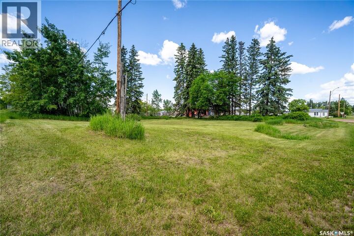 Property Photo:  153 1st Street E  SK S0M 2K0 