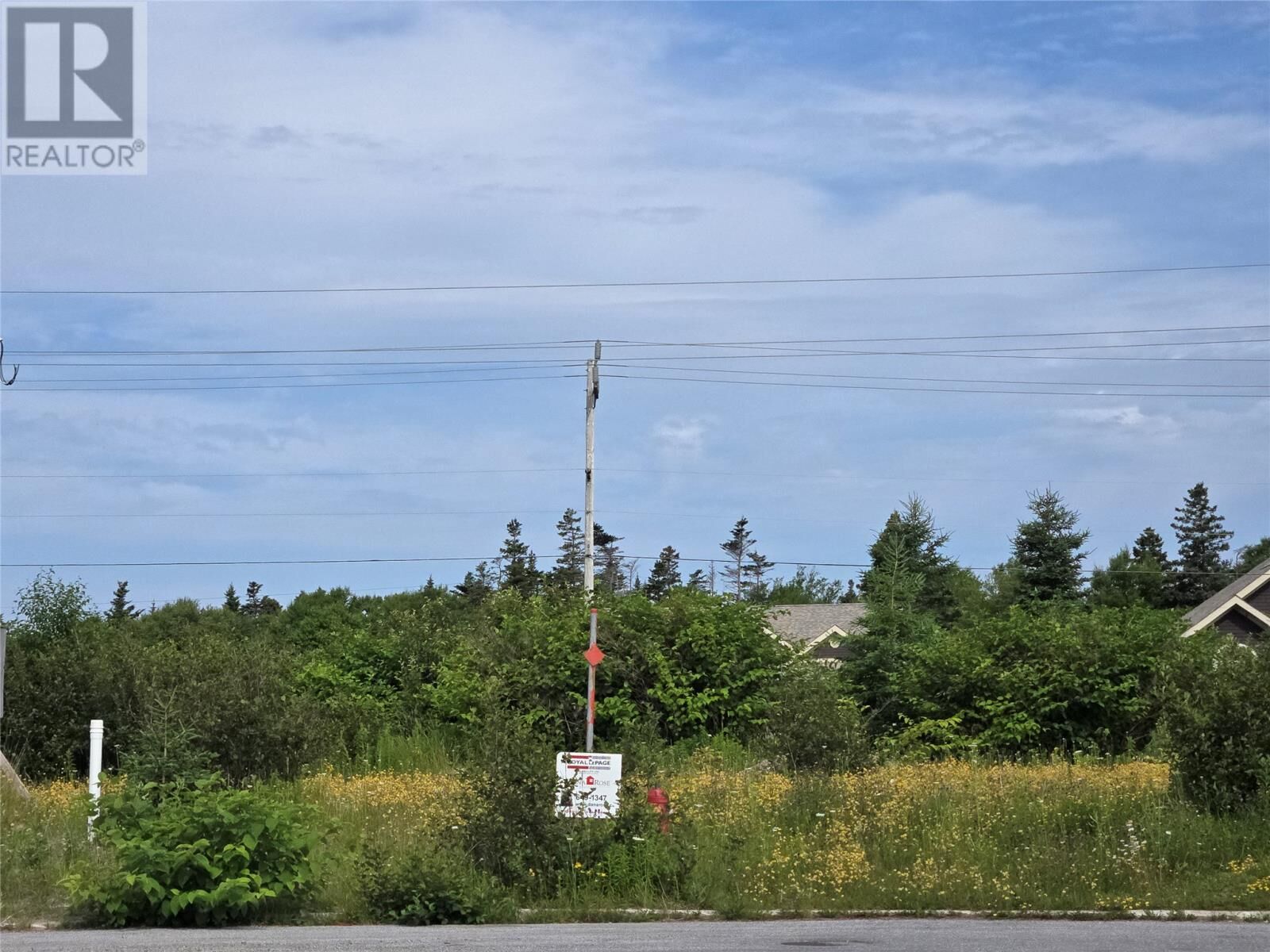 Property Photo:  4 Sheldon Place  NL A2N 0B6 