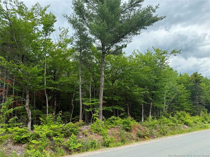 Property Photo:  Lot 2 Hansen Road  NB E1V 3M2 