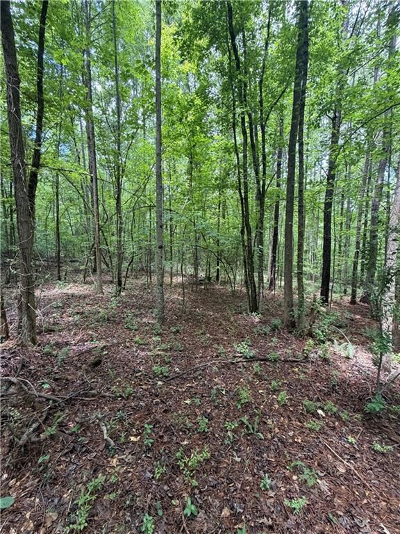Property Photo:  8915 Cedar Grove Road  GA 30213 