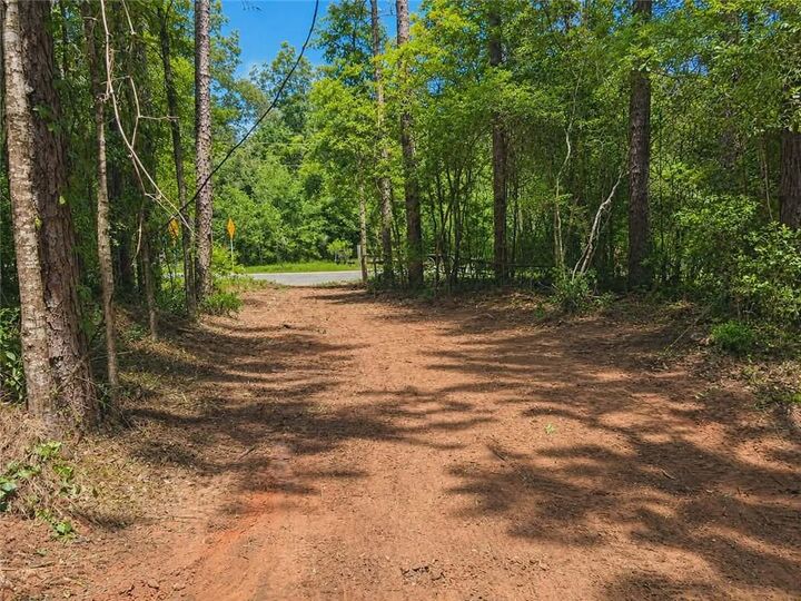 Property Photo:  0 Walter Tanner Road  AL 36587 