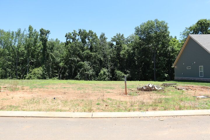 Property Photo: 597 Willow Park Dr TN 37043