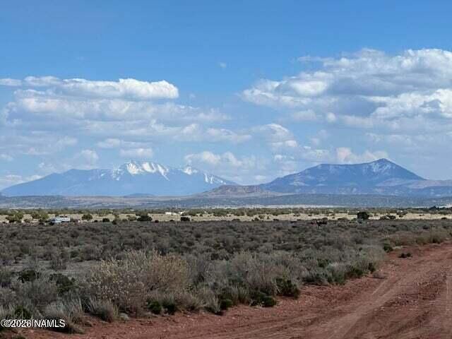 Property Photo:  661 S Wyandotte Road  AZ 86046 