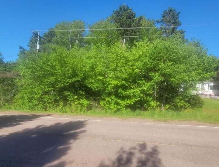 Lot Scales Pond Road — photo 1