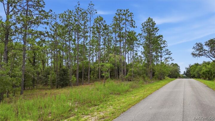 Property Photo:  0000 SW Sands Point Avenue  FL 34431 