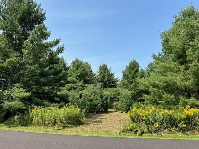 Property Photo:  129xx W Pine Cove Lane  WI 54843 