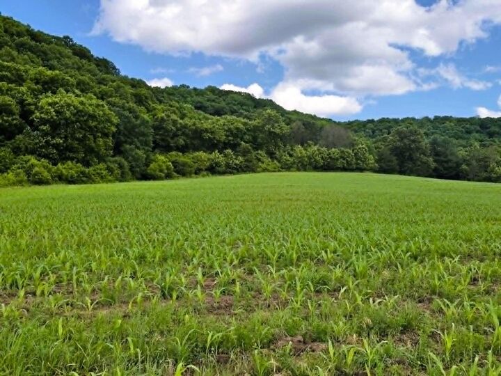 Property Photo:  13106 Hwy 131  WI 54655 