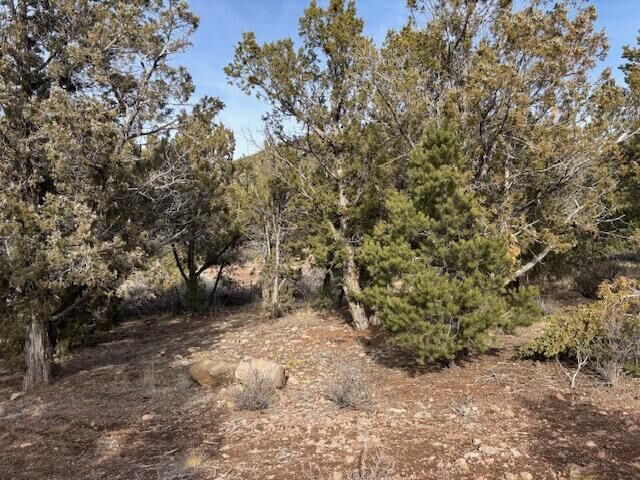 Property Photo:  277 N Pinion Cir  UT 84722 