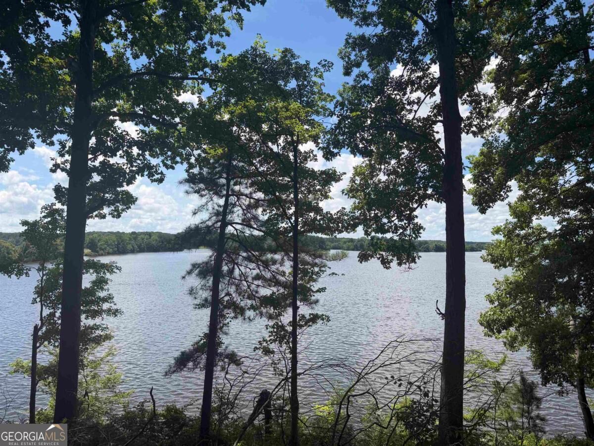 Property Photo:  Lots 1 &Amp 2 Pullman Lane  GA 30642 