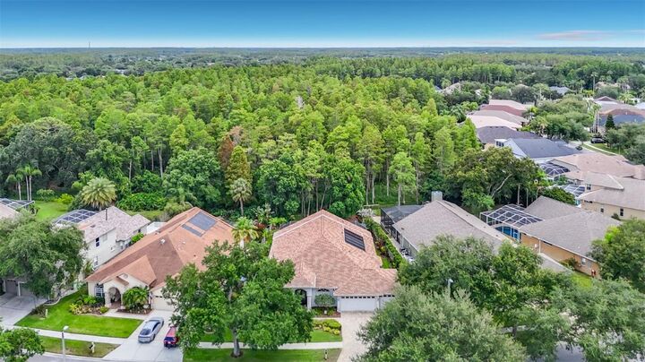 Property Photo: 4706 Mirabella Place FL 33558