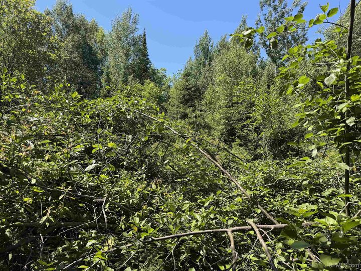 Property Photo:  Tbd Woodspur Road  MI 49953 